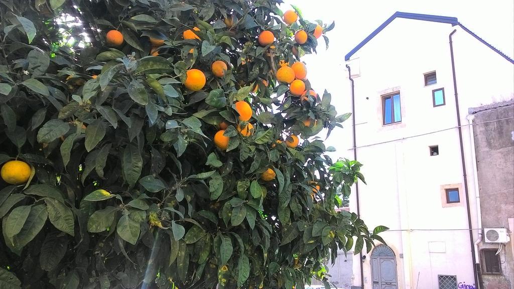 Odeonhouse - Catania - Parking Included公寓 外观 照片